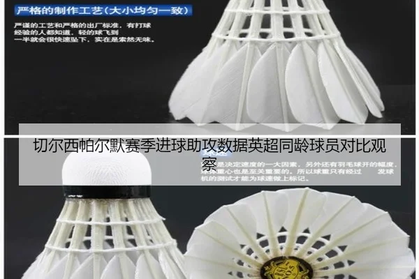 切尔西帕尔默赛季进球助攻数据英超同龄球员对比观察